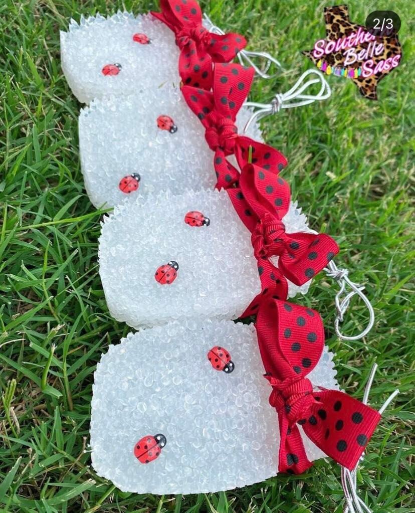 Lady Bug Mason Jar