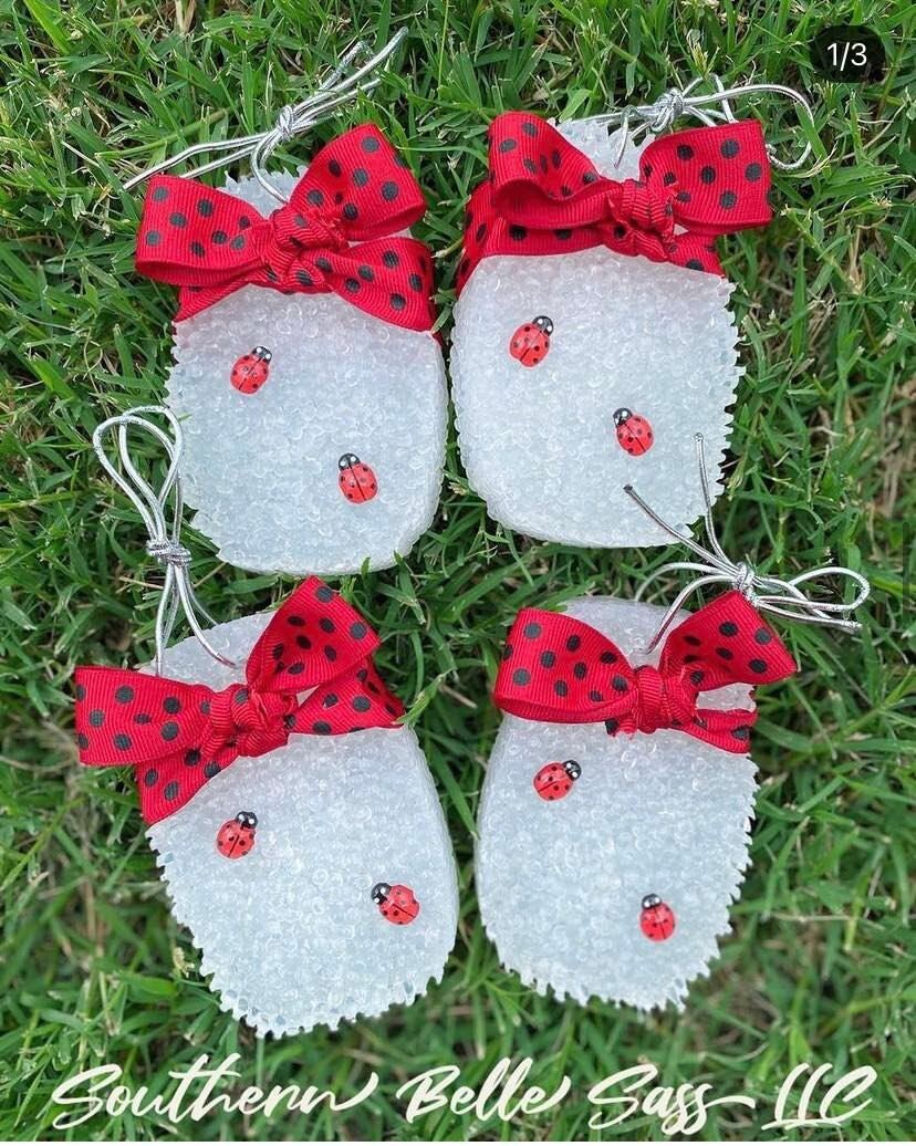 Lady Bug Mason Jar