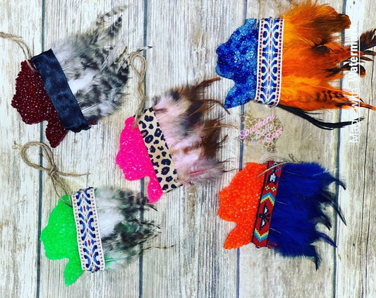Indian Head with Feather