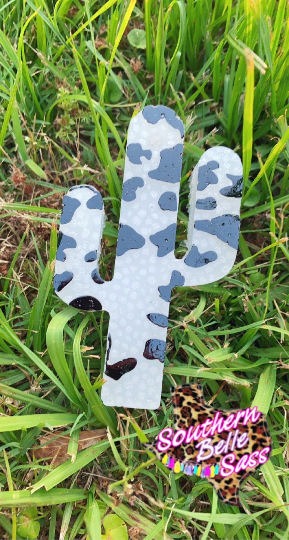 Cactus with Cow print