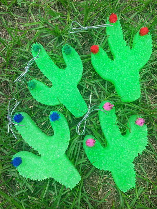 Party Cactus with Poms