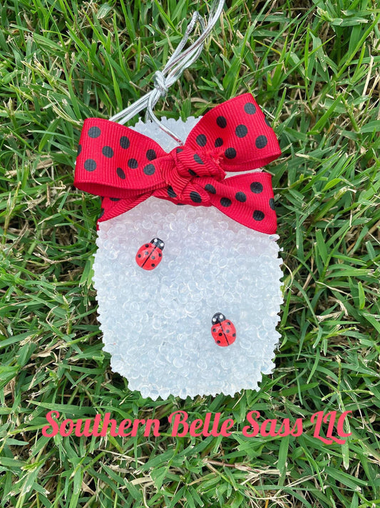 Lady Bug Mason Jar