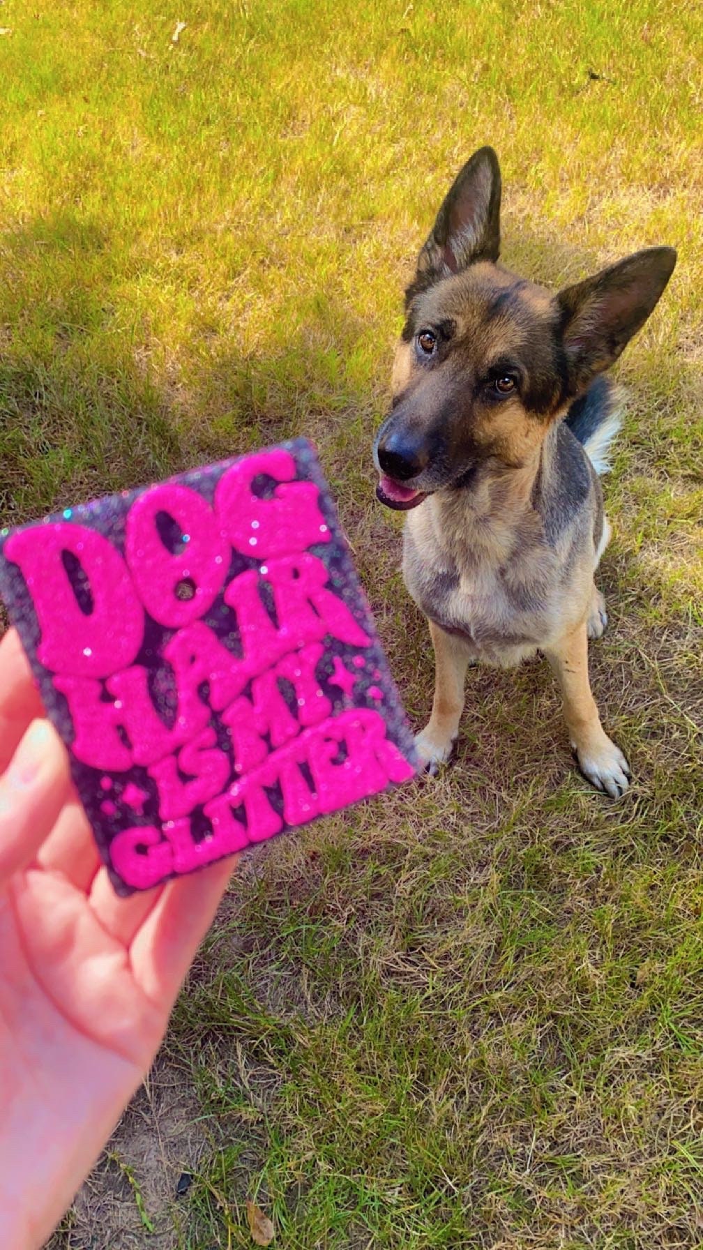 Dog Hair Freshie